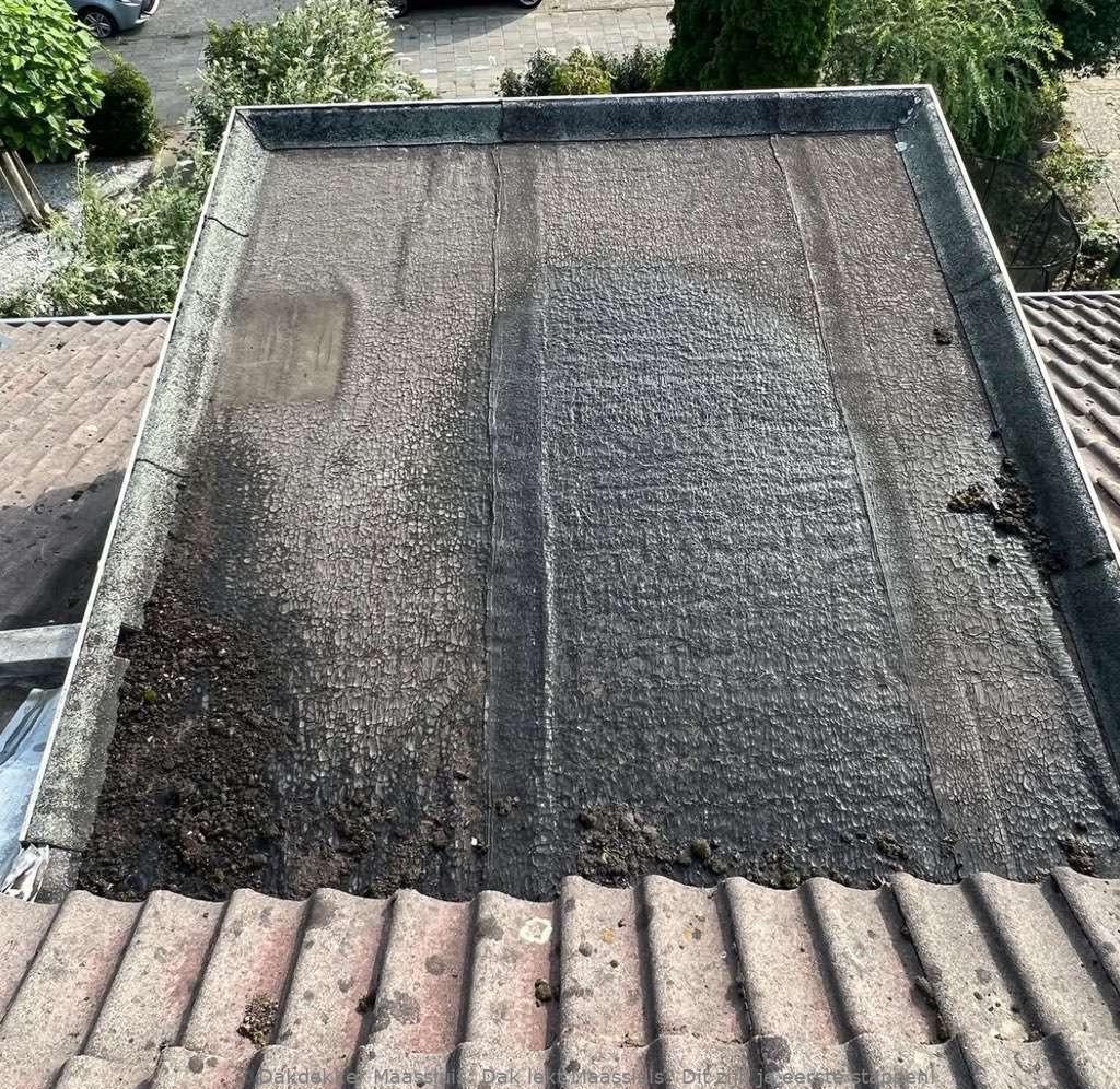 Dak Lekt Maassluis