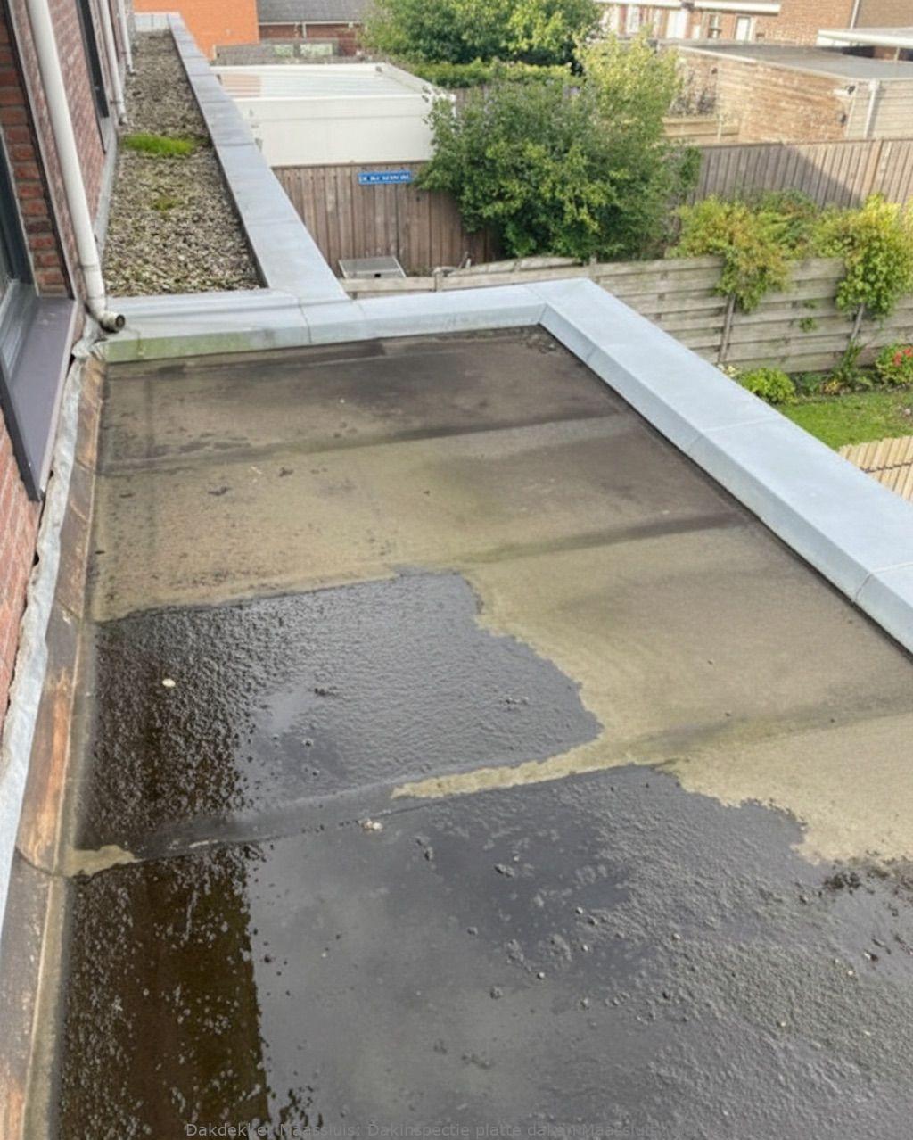 Dakinspectie Platte Daken Maassluis