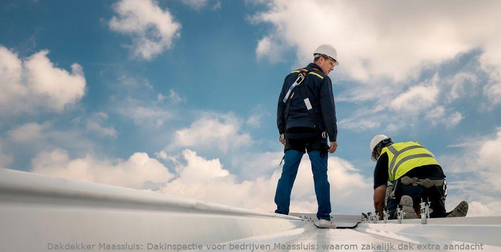 Dakinspectie Voor Bedrijven Maassluis