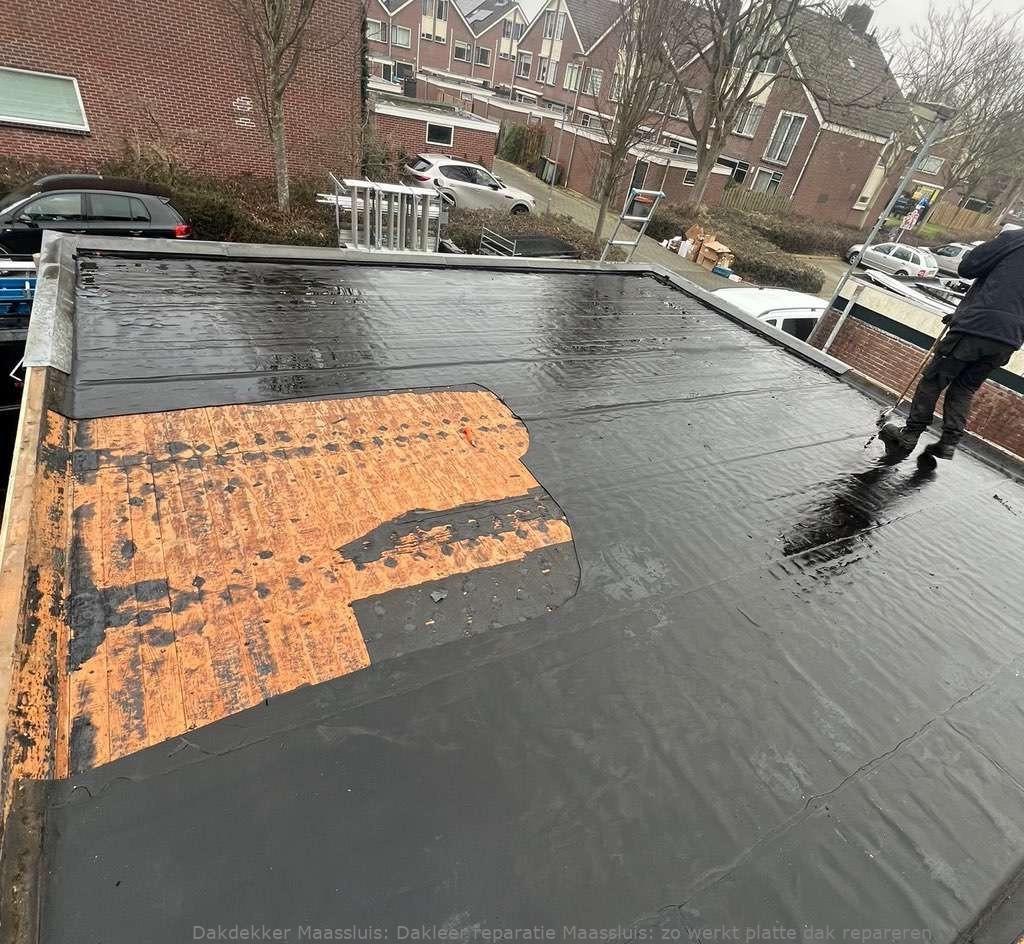 Dakleer Reparatie Maassluis