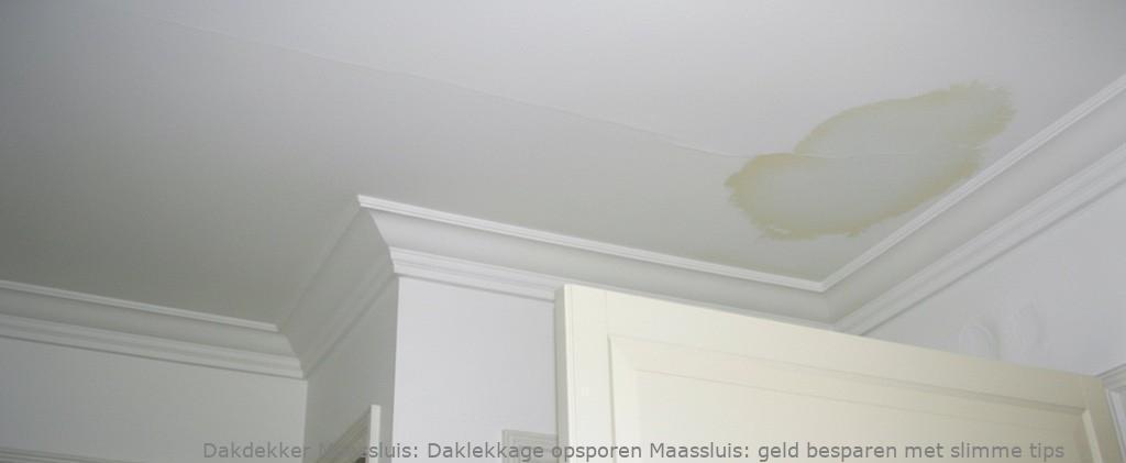 Daklekkage Opsporen Maassluis 1