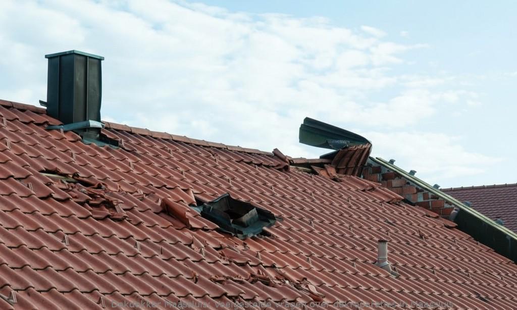 Dakreparaties Maassluis