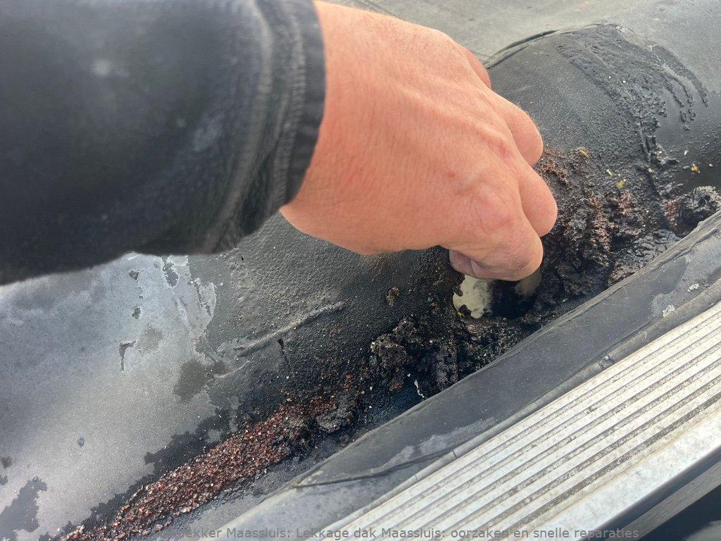 Lekkage Plat Dak Maassluis 1