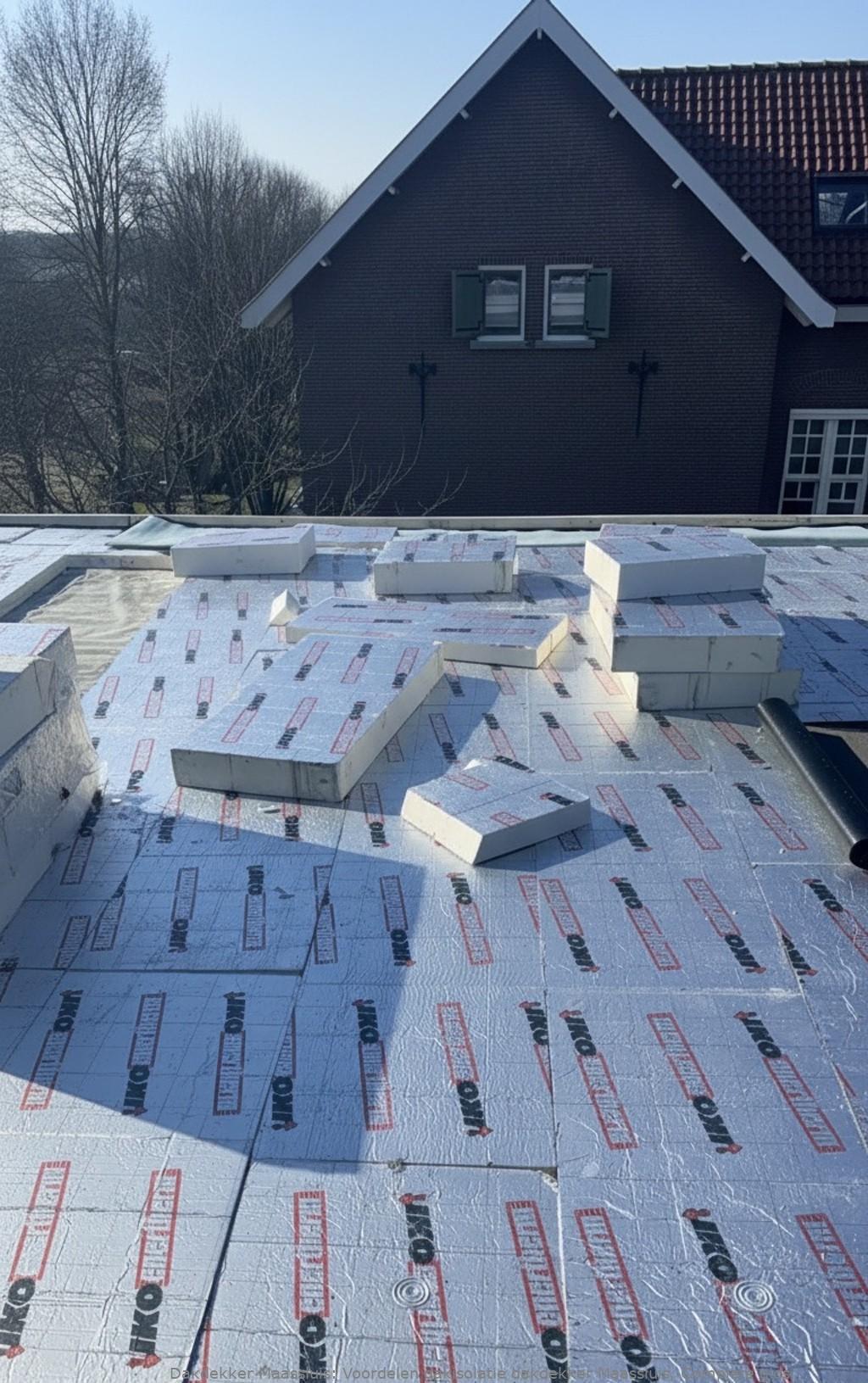 Voordelen Dakisolatie Dakdekker Maassluis